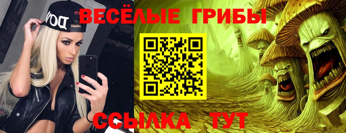 Галлюциногенные грибы Psilocybine cubensis Хабаровск