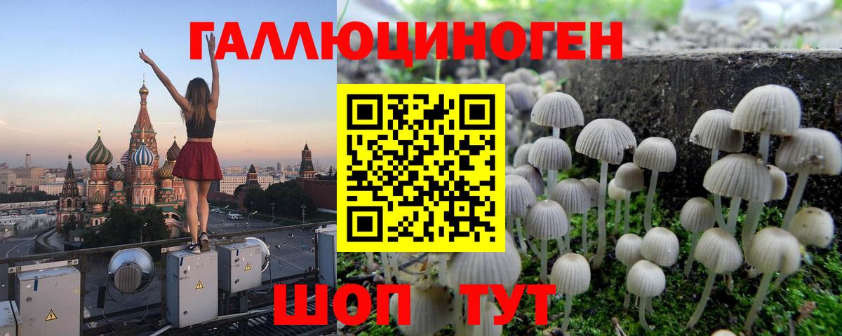 Псилоцибиновые грибы ЛСД  Вход с VPN  Хабаровск  Галлюциногенные грибы Psilocybe 